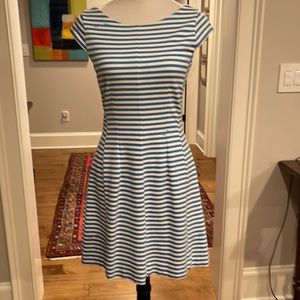 Lily Blue and White Stripes